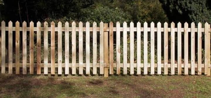 Timber picket boundary fence